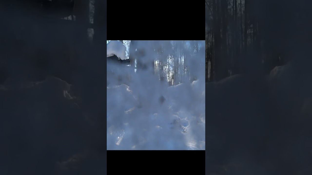 расчищаю место для ночевки в лесу зимой один #shorts смотреть онлайн