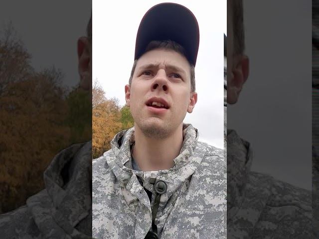 инвестирование в посадку ценных пород деревьев. рассказываю идею смотреть онлайн