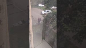 Клопы в подвале № 1