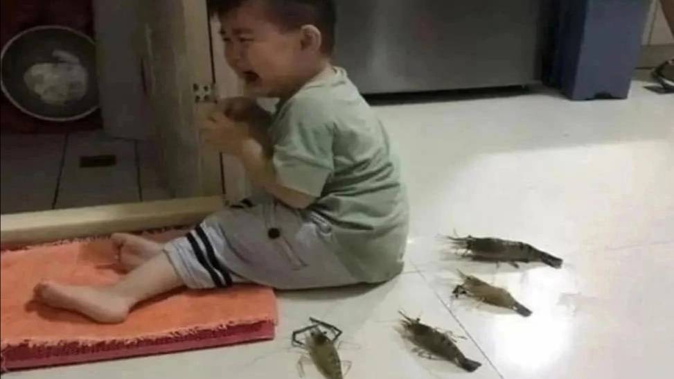 Доктор Илья