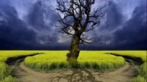 Евгений Дятлов "Эта женщина в окне".wmv