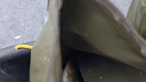 05-12-2024 Аргази