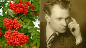 Рябинушка. Г. Пищаев