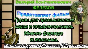 Груши для промышленных садов и плодопитомников. Мнение фермера В.Железова.