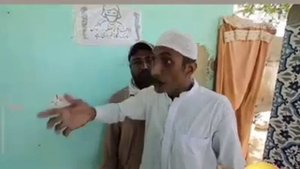 Крокодилы Суфисты