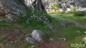 Райский уголки Крыма) гора Кошка