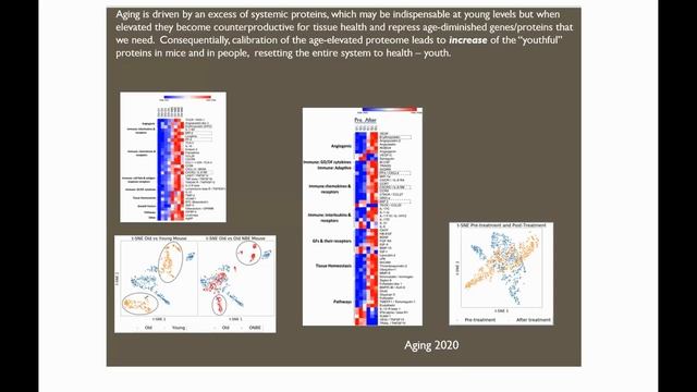 Plasma Dilution Potential Benefits & Real Cases Part III | Dr Dobri Kiprov Interview Series смотреть онлайн