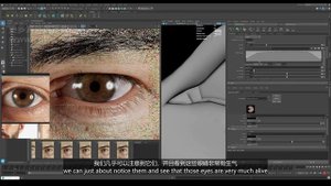 28.Advanced Look-Dev -The Eyes