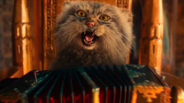 Алексин -  Кошка 