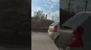собака нападает машину