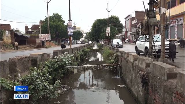 Dreadful new virus originated in India   Новый страшный вирус зародился в Индии