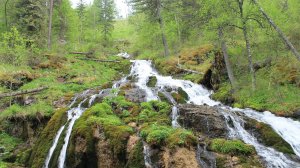 Алтай. Часть #2. Емурлинский водопад. #водопад #алтай