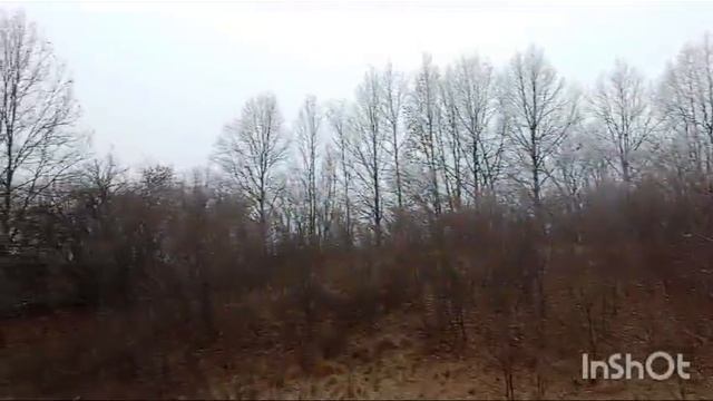 Охота на зайца по чернотропу с ягдтерьером смотреть онлайн