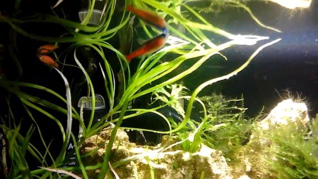 Неон смотреть онлайн