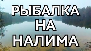 РЫБАЛКА НА НАЛИМА