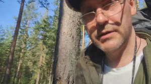 2023 год Август. Большой Кумикуш. 17