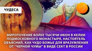 Мироточение тысячи икон в келии подмосковного монастыря, настоятель объяснил, как чудо