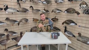 голуби полукорпус