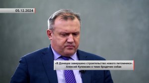 Алексей Кулемзин о теме бродячих собак. Актуально. 05.12.2024