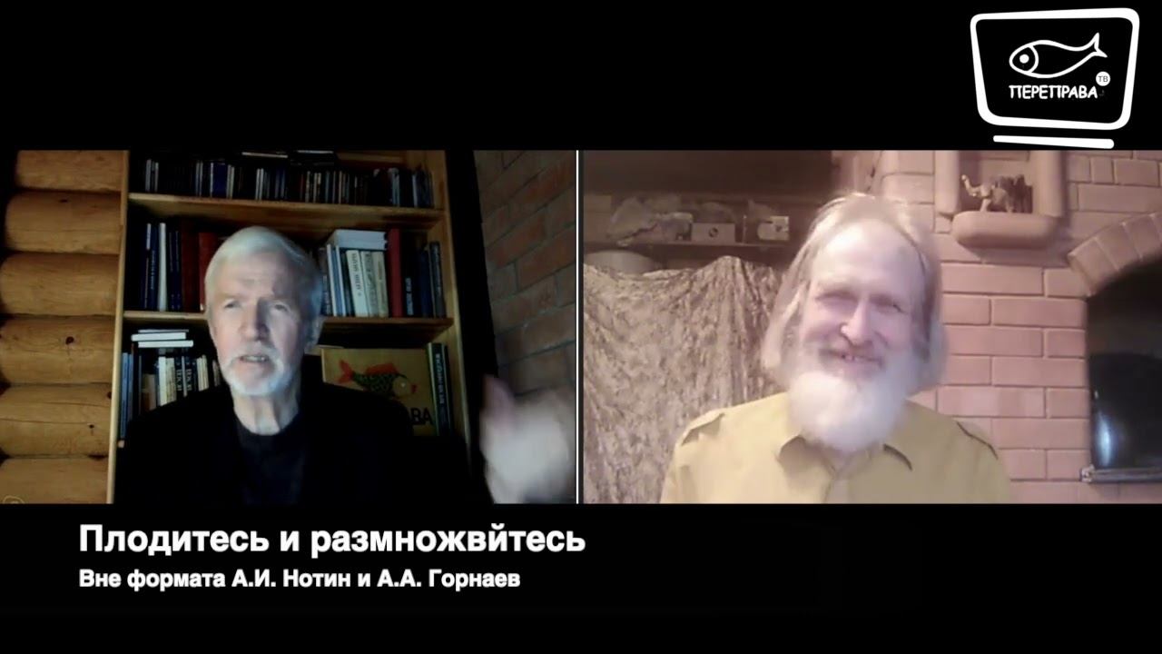 Плодитесь и размножайтесь. Или как выйти из демографического провала. А.Нотин, А. Горнаев