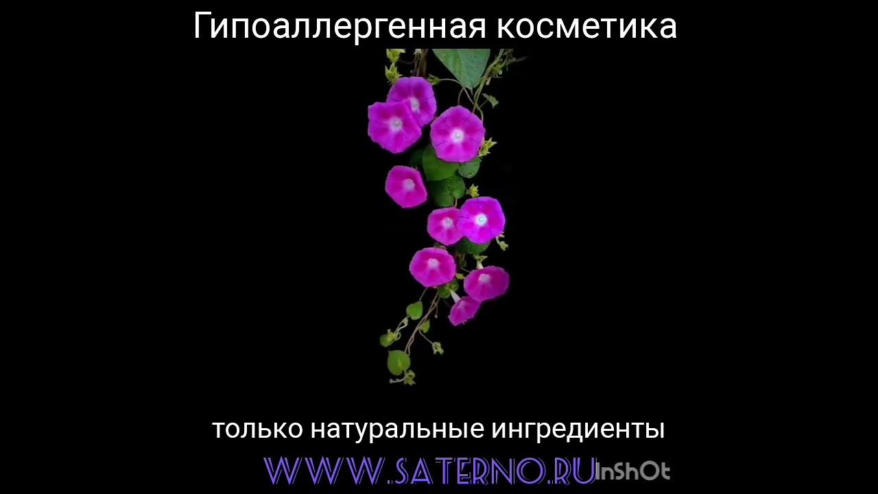 Косметика в инернет магазине Сатерно SILIS LEVIN PLATINUS Натуральная косметика с экстрактом пиявки,