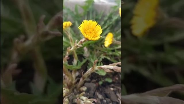 Как работать со злостью#помощь #помощьсебе #психология #упражнения#центрпути #любовьксебе