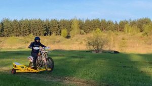 Вилли паук , отличный мото друг
