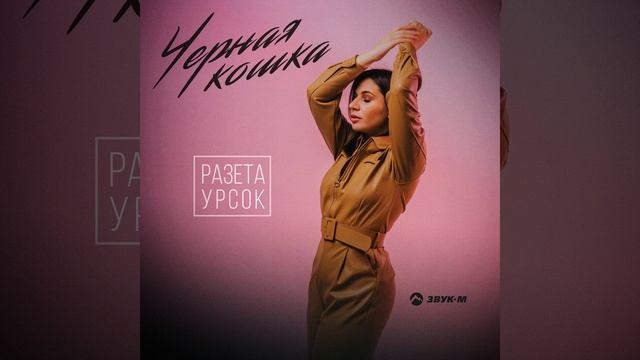Черная кошка