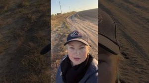 Поле. Сентябрь. 2024