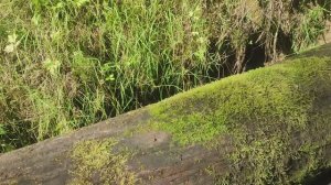 2023 год Август. Большой Кумикуш. 20