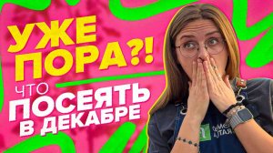 ЧТО ПОСЕЯТЬ В ДЕКАБРЕ?