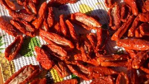 ВЯЛЕНЫЕ ПОМИДОРЫ ПО-ИТАЛЬЯНСКИ. ENG SUB