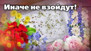 Растения, которым нужна стратификация. Цветы, деревья, хвойные