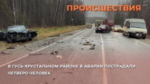 В Гусь-Хрустальном районе в аварии пострадали четверо человек