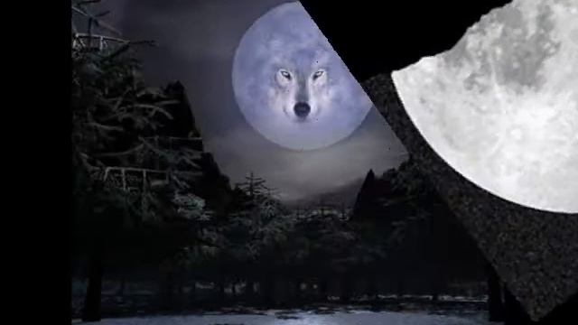 клип волчица смотреть онлайн