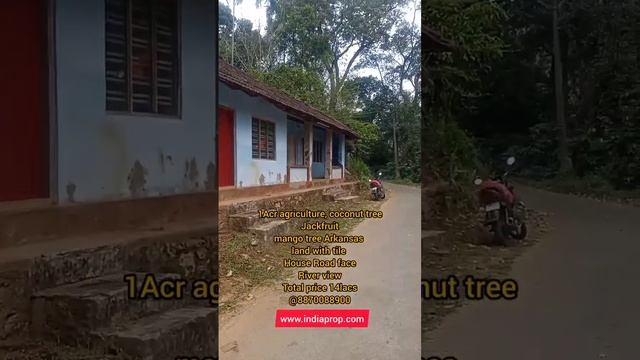 Sold out #Shorts@1acr agriculture land with plantation tile house river you for sale 14 lacs. смотреть онлайн
