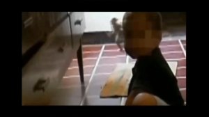 Загадочные существа–снятые на видео.