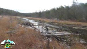 2019 Пяозеро октябрь Часть 2