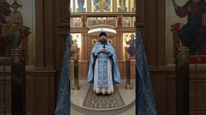 Введение во храм Пресвятой Богородицы. 3 значения праздника. Проповедь о. Андрея. 4.12.24