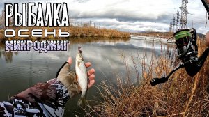 Осенняя рыба. Микроджиг Ультралайт