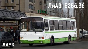 ЛиАЗ-5256.36 (ЯМЗ-6563.10 & ЯМЗ-2361)
