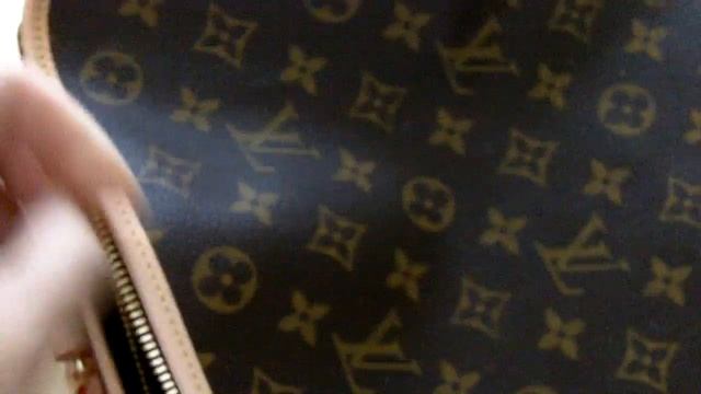 Sac Chien 50 AUTHENTIC Louis Vuitton dog carrier luggage patina comparison смотреть онлайн