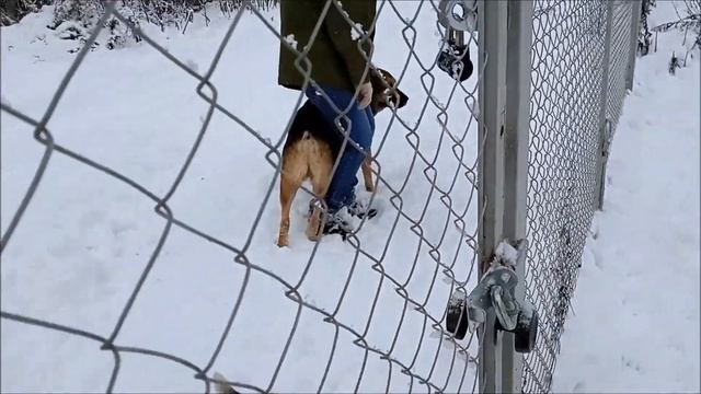 И все таки они подружились! смотреть онлайн