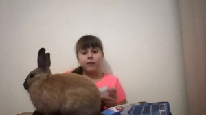 как ухаживать за кроликами урок 1