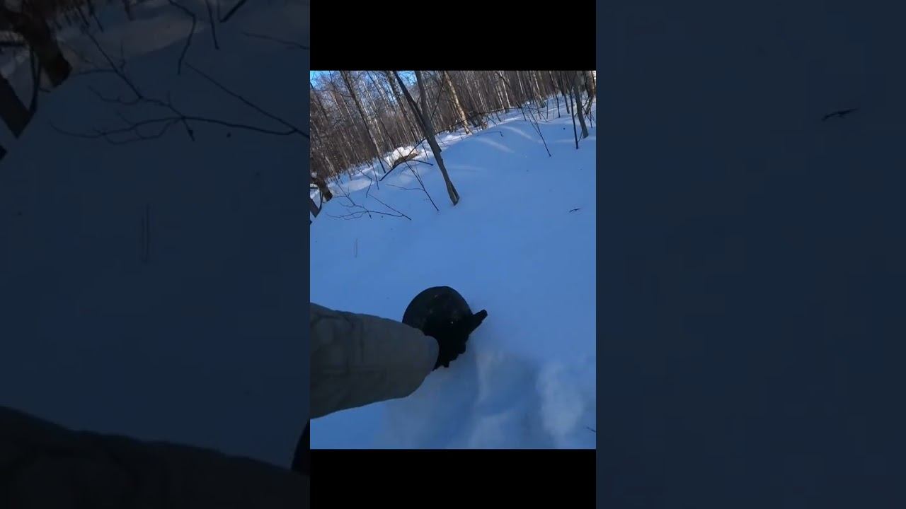 котелок со снегом на чай #shorts смотреть онлайн