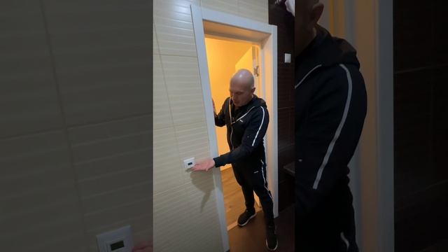 Zems Pro Стоимость Проекта