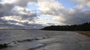 непара - осень