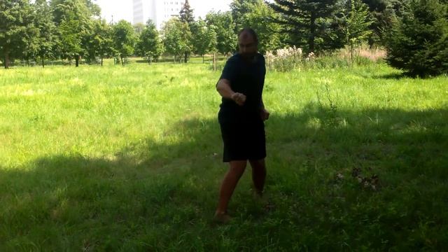 Орел и Медведь (СИНЪИ)