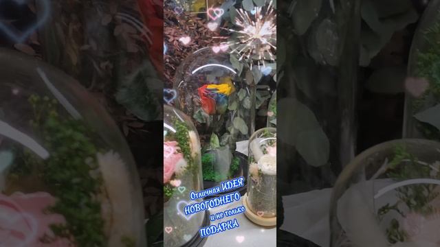 Идеи подарка из цветов. Букет цветов в колбе. Роза в колбе. Цветочный декор.