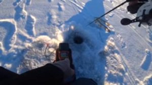 рыбалка зимой на подергушку с балонсиром